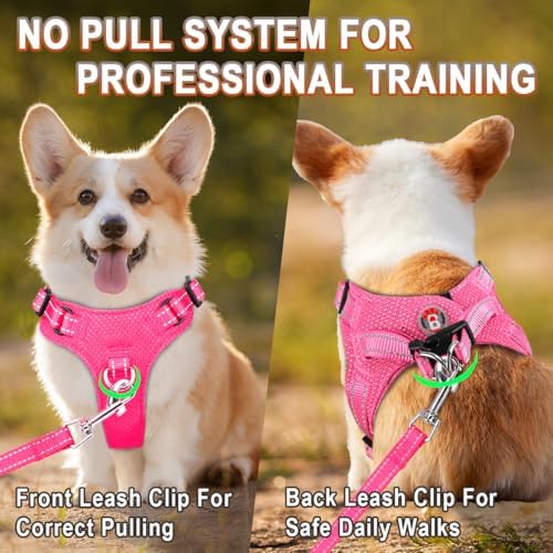 BARKBAY Small Dog Harness, No Pull Puppy Harness, Step-in Dog Vest - Image 5