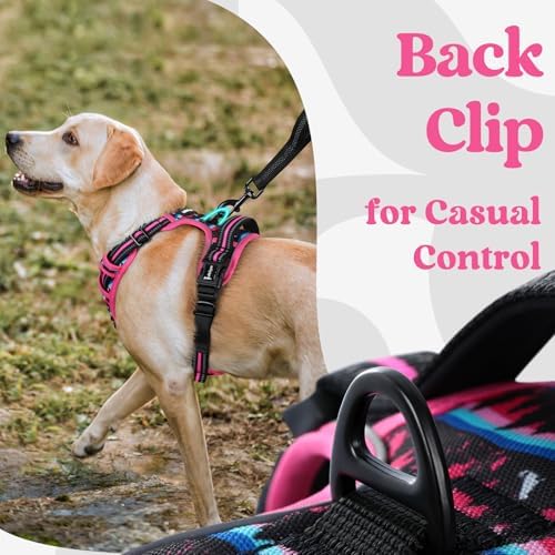 rabbitgoo Dog Harness Small Sized, Updated Easy On & Off - Image 6