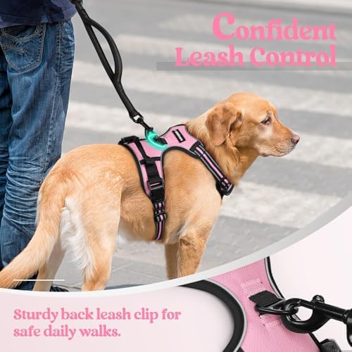 rabbitgoo Dog Harness, No Pull for Large Dogs - Image 6