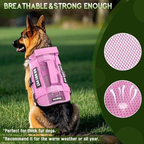 WINSEE Tactical Molle Vest Mesh Dog Harness - Image 2