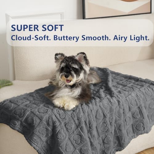 gogobunny Large Pet Blanket for Dogs Cats, Ultra Soft 300GSM Coral Fleece - Image 3