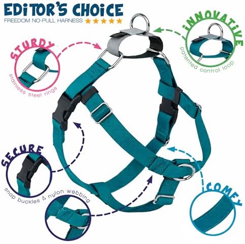 2 Hounds Design Freedom No Pull Dog Harness, 1 inch LG - Image 4