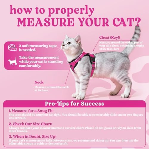 rabbitgoo Cat Harness and Leash Set, Escape Proof Vest, Rose Red - Image 2