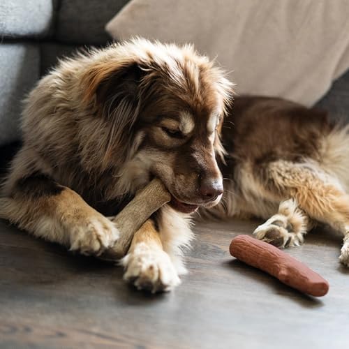 Dogwood Mesquite Stick Dog Chew Toy - Image 5