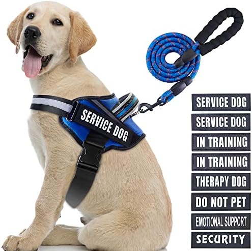 Service Dog Vest Harness and Leash Set, Animire in Training Dog Harness by Animire
