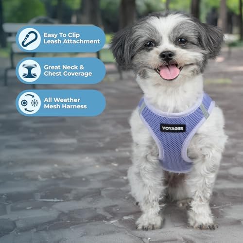 Best Pet Supplies - Image 2