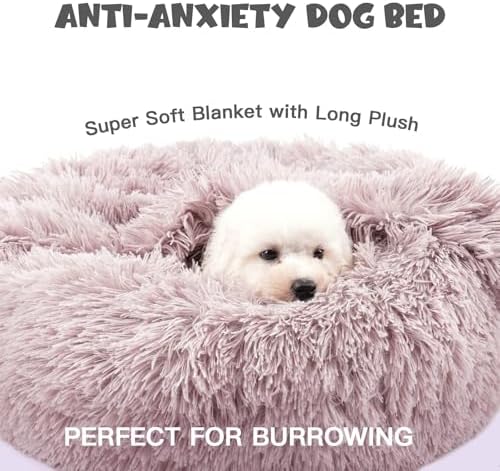 Himax Covered Small Dog Bed - Image 3