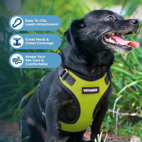 Voyager Step-in Lock Dog Harness - Image 3