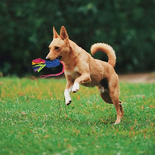 wodoca Dog Tug Toy, Dog Toys for Aggressive Chewers, Strong Squeak Rope Toy - Image 3
