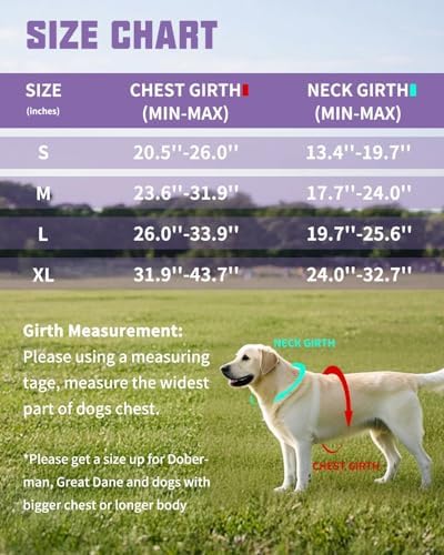 AUROTH Dog Harness and Leash Set - Image 6