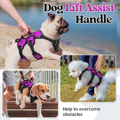 rabbitgoo Escape Proof Dog Harness - Image 3