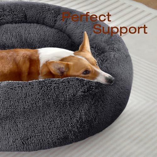 JOLLYVOGUE Dog & Cat Bed, Calming Anti-Anxiety Pet Bed - Image 2