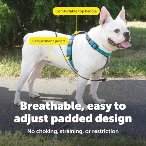 PetSafe Easy Walk 3 in 1 No Pull Dog Harness - Image 5