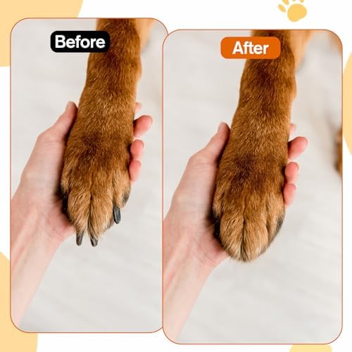 Dog Nail File with Replaceable Filing Disc Dog Nail File Scratch Board - Image 5