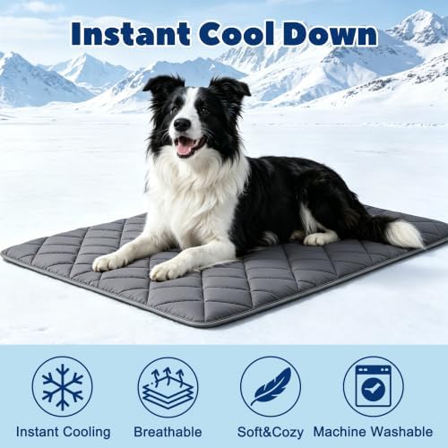 Paw Legend Dog Cooling Mat for Dogs 22" x 28", Pet Cooling Pad Blanket for Dogs - Image 3