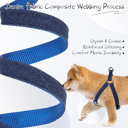 BINGPET No Pull Dog Harness and Leash Set, Adjustable Step-in Vest - Image 5