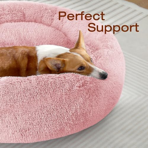 JOLLYVOGUE Dog Bed, Calming Anti-Anxiety Large Dog Bed, Fluffy Donut Cushion - Image 2