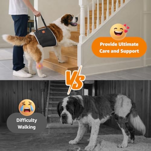 LOOBANI Dog Sling for Extra Large Dogs Hind Leg Support Weak Rear Leg Aid - Image 6