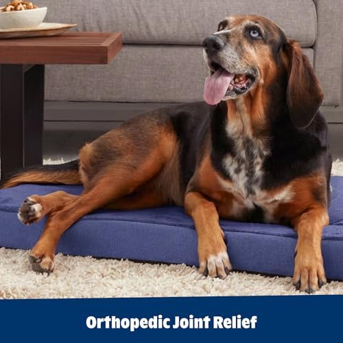 BarkBox Orthopedic Dog Bed - Image 6