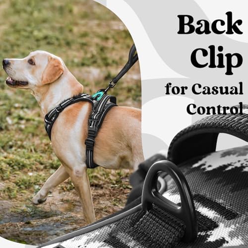 rabbitgoo Dog Harness for Large, Updated Easy On & Off - Image 6