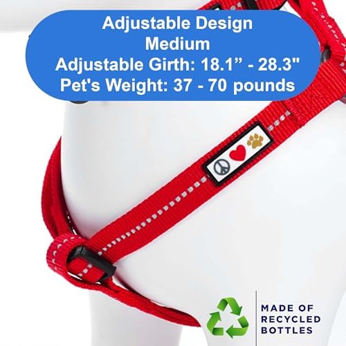 Pawtitas Recycled Reflective Step-in Dog Harness – Adjustable No-Pull Vest - Image 3