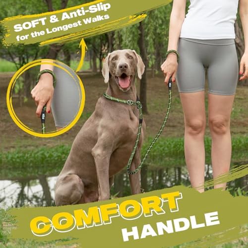 Fida Slip Lead Dog Leash 5 Pack, 6 FT x 1/2" Dog Training Leash - Image 6