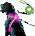 noxgear LightHound Light Up Reflective Dog Harness and Leash by Noxgear