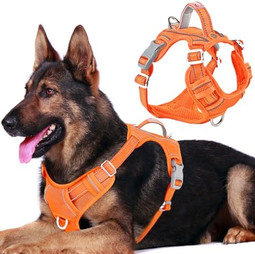BARKBAY Dog Harness No Pull by BARKBAY
