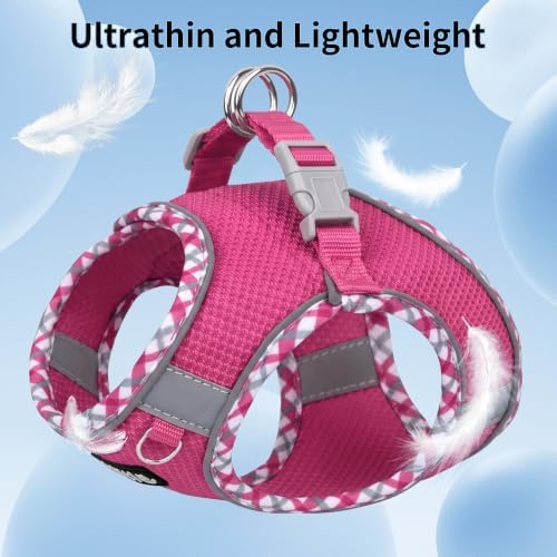 AIITLE Dog Harness and Leash Set - Image 2