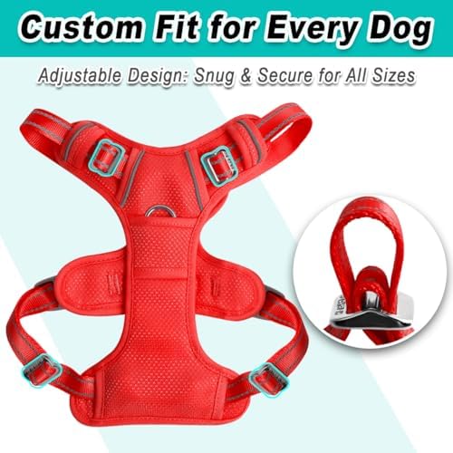 BARKBAY Dog Harness for Medium Sized Dog No Pull Mesh 2 Clips Dog Vest - Image 6