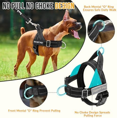 Lukovee No Pull Dog Harness and Leash Set, Soft Padded - Image 2