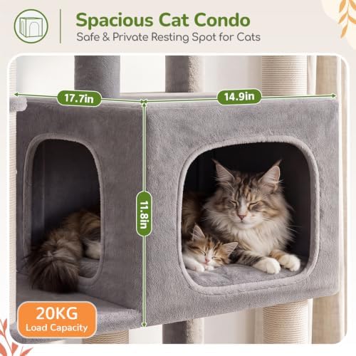 Globlazer Heavy Duty Cat Tree for Large Cats, 25.5in Wide Top Perch - Image 4
