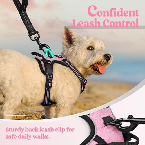 rabbitgoo Dog Harness No Pull - Image 6