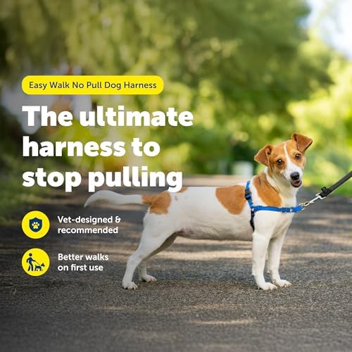 PetSafe Easy Walk Harness for Dogs - Image 2
