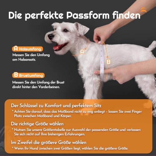 Eagloo Small Dog Harness and Leash Set, Step in Medium Small Puppy Pet Vest - Image 2