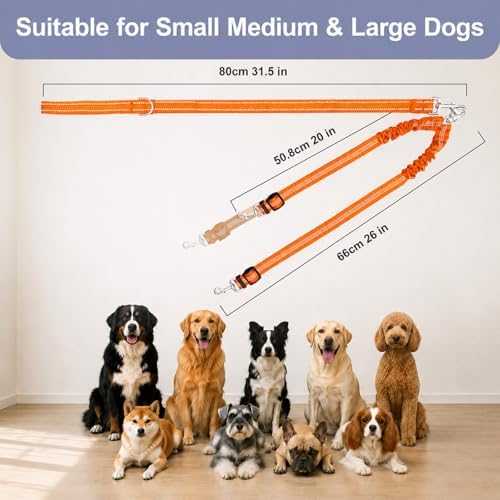 Double Dog Leash Padded Handle 360°Swivel No Tangle Dual Leash - Image 7