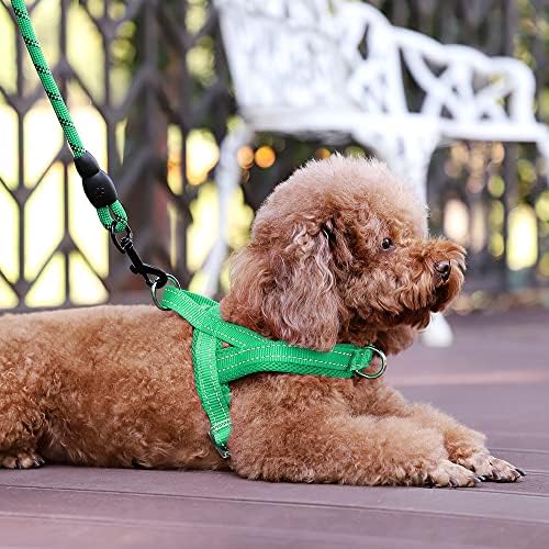 Plutus Pet No Pull Dog Harness for Small Dogs, Breathable Mesh Padded - Image 5