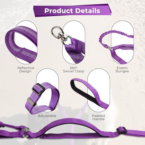 Double Leash for Two Dogs, No Tangle Bungee Dog Leash - Image 5