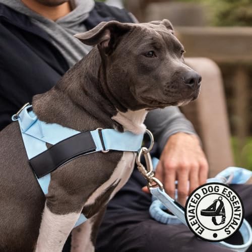 Dog Friendly Co. Dog Harness for Medium Dogs - Image 6