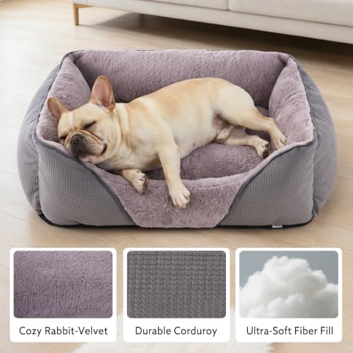 MIXJOY Dog Beds for Small Dogs, Cat Beds for Indoor Cats Washable, Calming Pet - Image 4