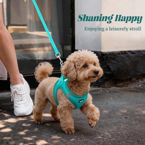 No Pull Dog Puppy Harness and Leash Set Reflective Mesh Vest Large - Image 5