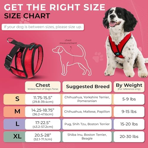 Gooby Comfort X Head-in Dog Harness, Choke-Free - Image 4