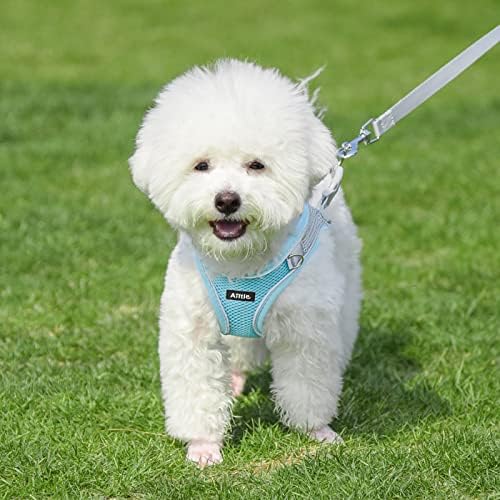 AIITLE Small Dog Harness and Leash Set, Step-in Puppy Pet Vest - Image 4