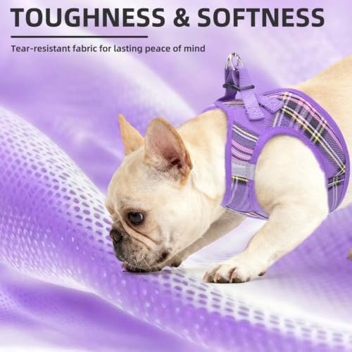 PUPTECK Dog Harness, Collar and Leash Set No Pull - Image 6