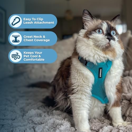 Voyager Step-in Lock Cat Harness & Leash Set - Image 5