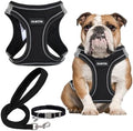 GAMUDA Small Dog Harness Collar and Leash Set, Step in No Chock No Pull Linen by GAMUDACollarsCollection
