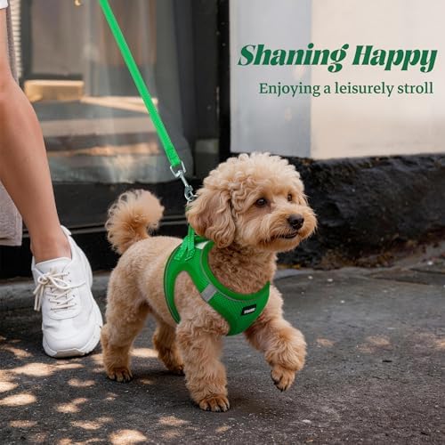 No Pull Dog Puppy Harness and Leash Set Reflective Mesh Vest Medium - Image 6