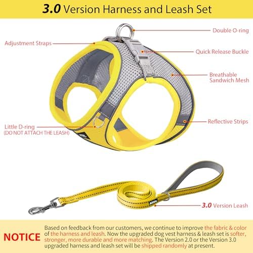 AIITLE Medium Dog Harness and Leash Set, Step-in Puppy Pet Vest - Image 4