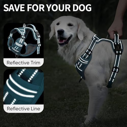 HEELE Dog Harness for Small Dogs No Pull Dog Vest Harness for Small Dog - Image 3