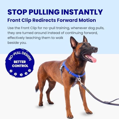 Freedom No Pull Dog Harness for Large Dogs - Image 2